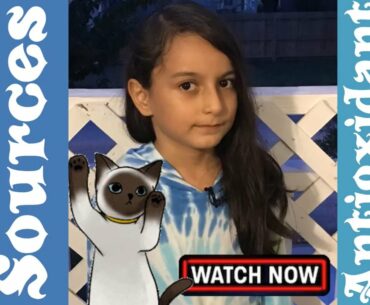 Sources of Antioxidants