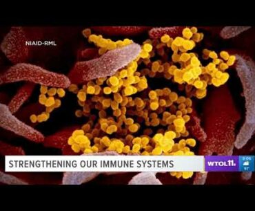 WTOL 11: Can working out help you build immunity against COVID-19?