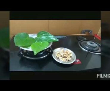 Simple way to improve immunity