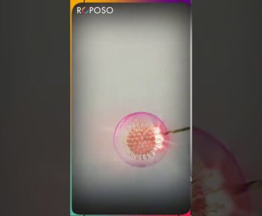 Fight between #COVID-19 vs Mask and Immunity