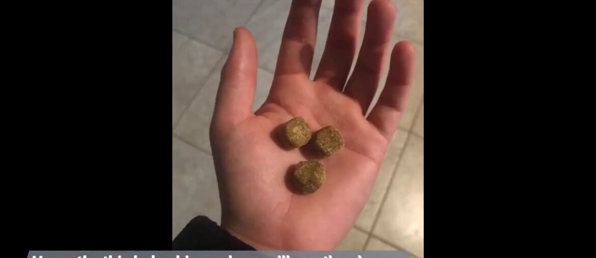 STRELLALAB Hemp Treats + Glucosamine for Dogs - Hip & Joint Supplement - w/Hemp Oil + Protein -...