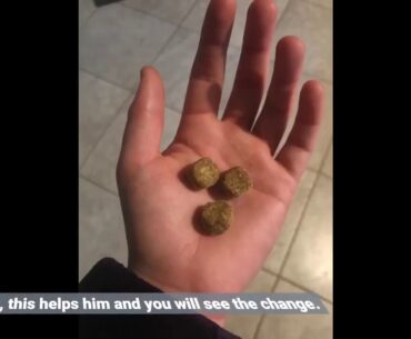 STRELLALAB Hemp Treats + Glucosamine for Dogs - Hip & Joint Supplement - w/Hemp Oil + Protein -...