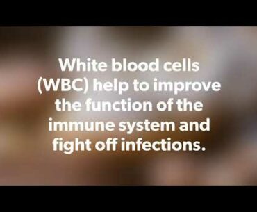 Coronavirus | White Blood Cells | Fatal