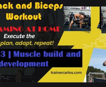 Back and biceps workout  Ep. 23 | Muscle build and arm development