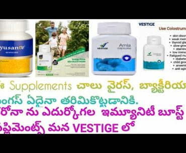 Immunity Boost   VESTIGE Health Supplements in telugu | How to strengthen IMMUNE SYSTEM | 2020