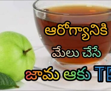 Guava Leaf Tea in telugu| Healthy Tea for Immunity Boosters |Vitamin C  Booster to fight with Covid