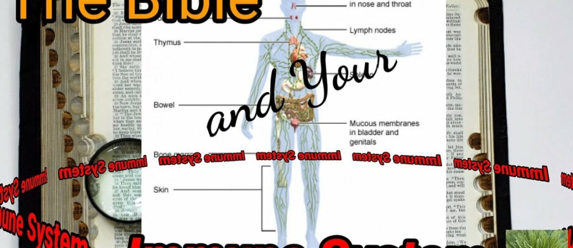 The Bible and Your Immune System