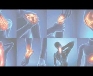 BEST NUTRITIONAL SUPPLEMENT FOR JOINT STRENGTH