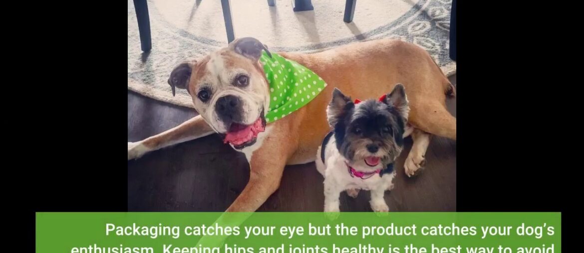 LEGITPET Hemp Hip & Joint Supplement for Dogs - 120 Soft Chews - Made in USA - Glucosamine for...