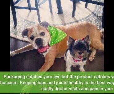 LEGITPET Hemp Hip & Joint Supplement for Dogs - 120 Soft Chews - Made in USA - Glucosamine for...