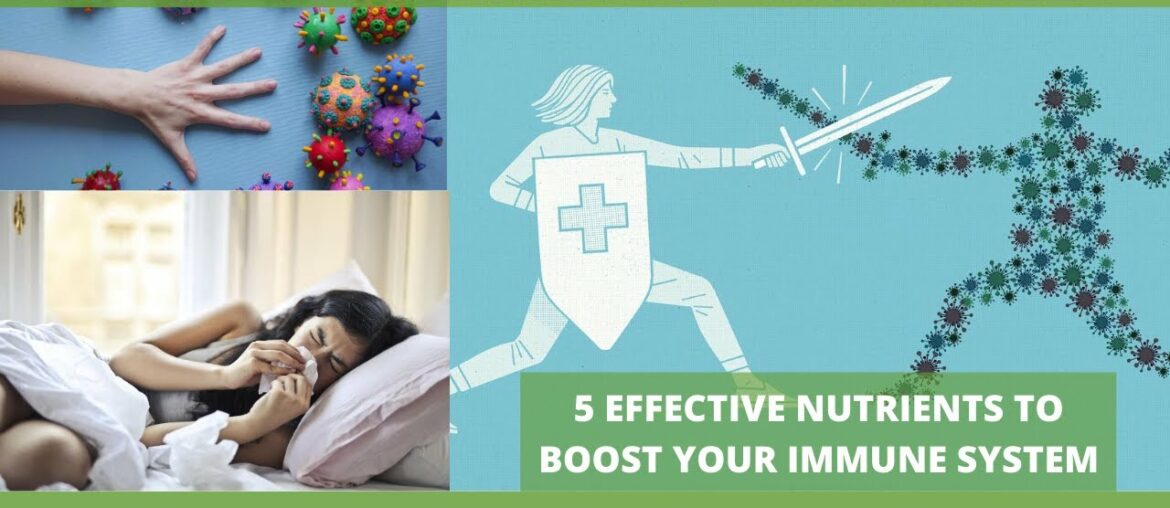 5 effective nutrients to boost your immune system | Make your Body Fighter | MEDSimplified Extension