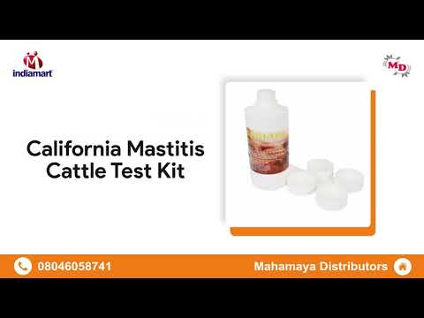 Alcohol Based Hand Sanitizer & Vitamin And Mineral Cattle Feed Supplement Wholesale Trader