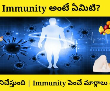 Human Immune system Explained in Telugu | How to improve Immunity in Telugu | Common Man