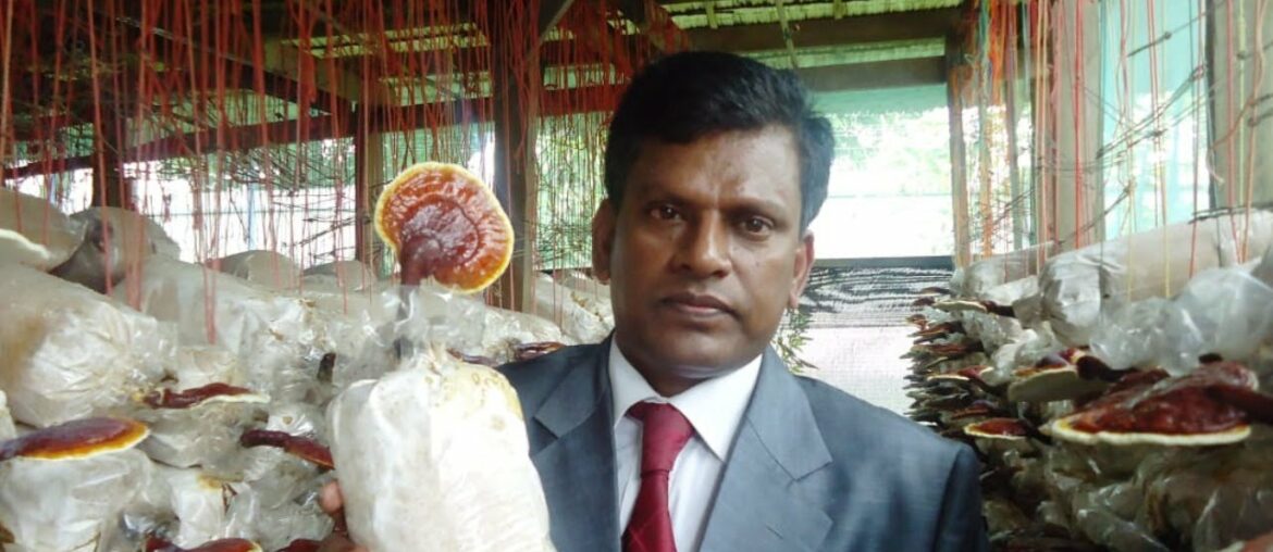 What is Immunity & How DXN Products Boost it? (TAMIL) By TD Mr.R.Senthilkumar