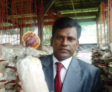 What is Immunity & How DXN Products Boost it? (TAMIL) By TD Mr.R.Senthilkumar