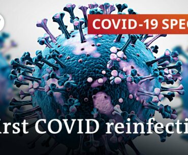 How long does coronavirus immunity last? | COVID-19 Special