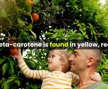 vitamins and minerals may boost immune function