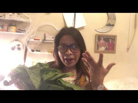 Health Benefits of Spinach | tinie's corner USA