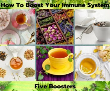 How To Boost Your Immune System : Five Tea Boosters S1
