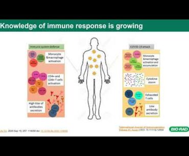 Antibody Testing for COVID-19
