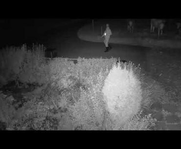 2020 08 25   Coronavirus Protest 17