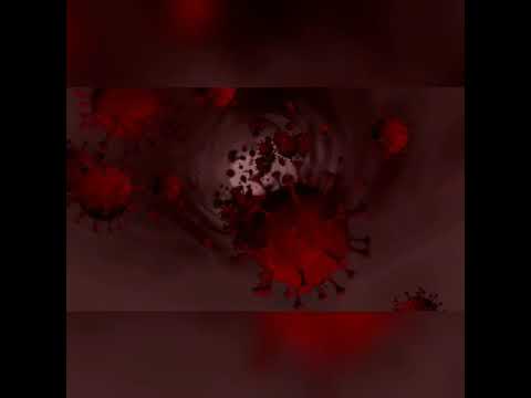 Essential Oils to Boost your Immune System