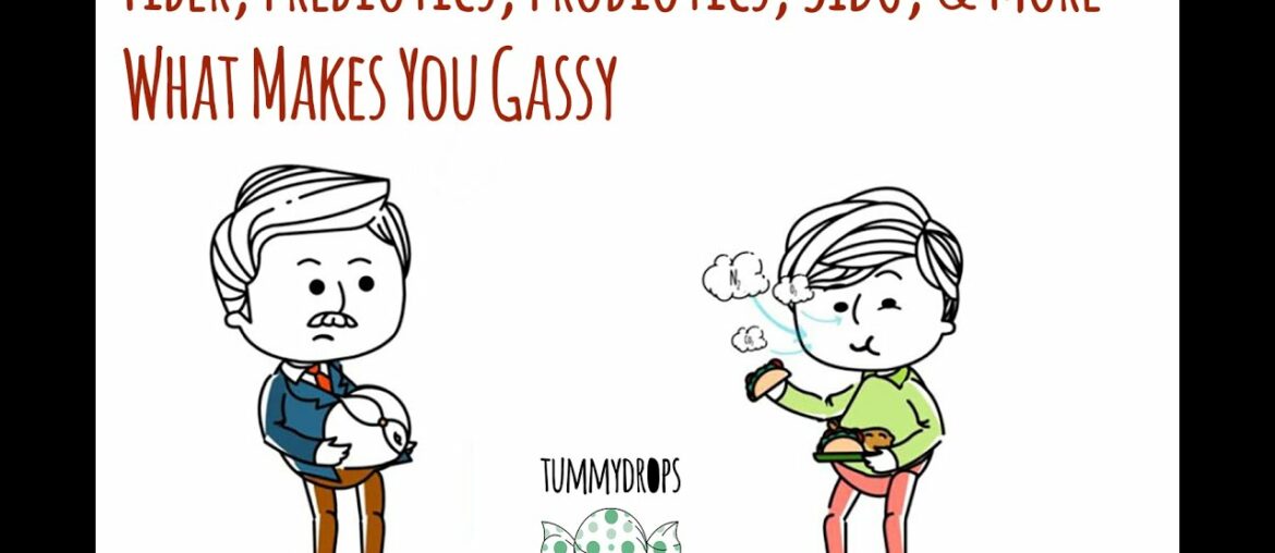 Fiber, Prebiotics, Probiotics, SIBO, & More:  What Makes You Gassy & How to Help