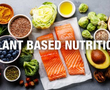 Plant-Based Nutrition: Trends and Perspectives