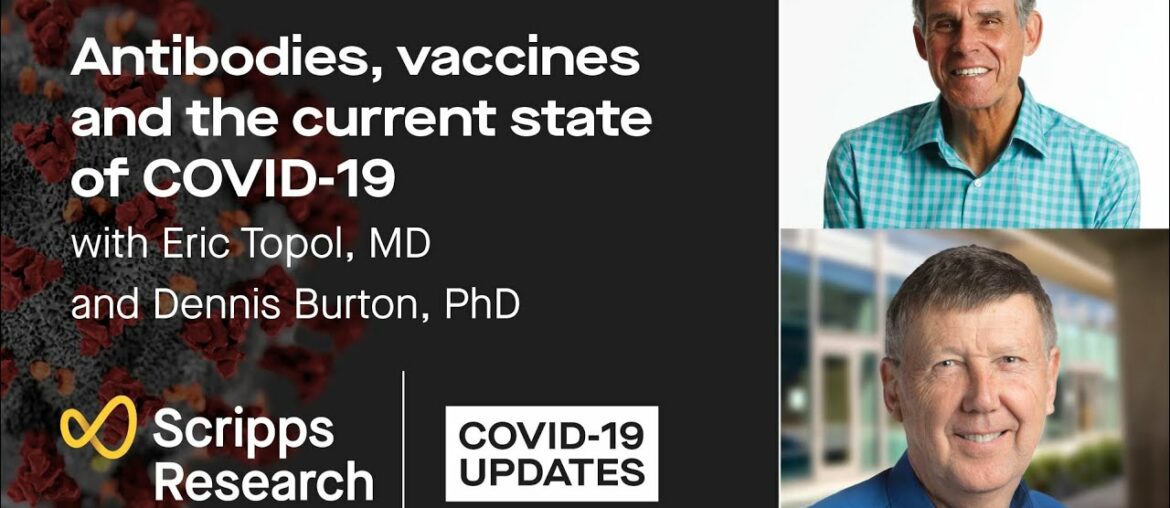 Antibodies, Vaccines and the Current State of COVID-19