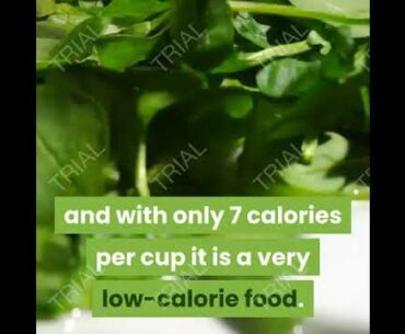 Spinach Is A Great Source Of  Vitamins,Minerals(Calcium, Beta-Carotene,Vitamin C And Megnesium)