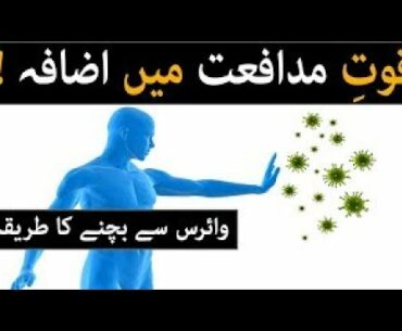 Boost Your Immunity Fight Corona virus || Quwat e mudafiat bharhana || 5 Foods UrduHindi COVID 19