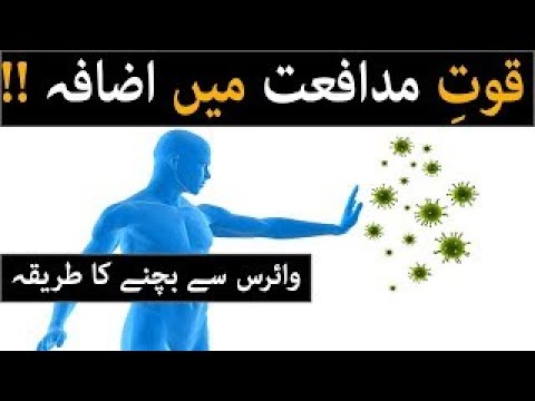 Boost Your Immunity Fight Corona virus || Quwat e mudafiat bharhana || 5 Foods UrduHindi COVID 19