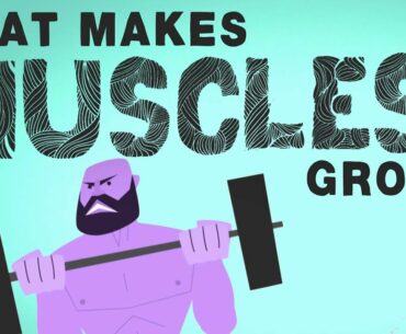 What makes muscles grow? - Jeffrey Siegel