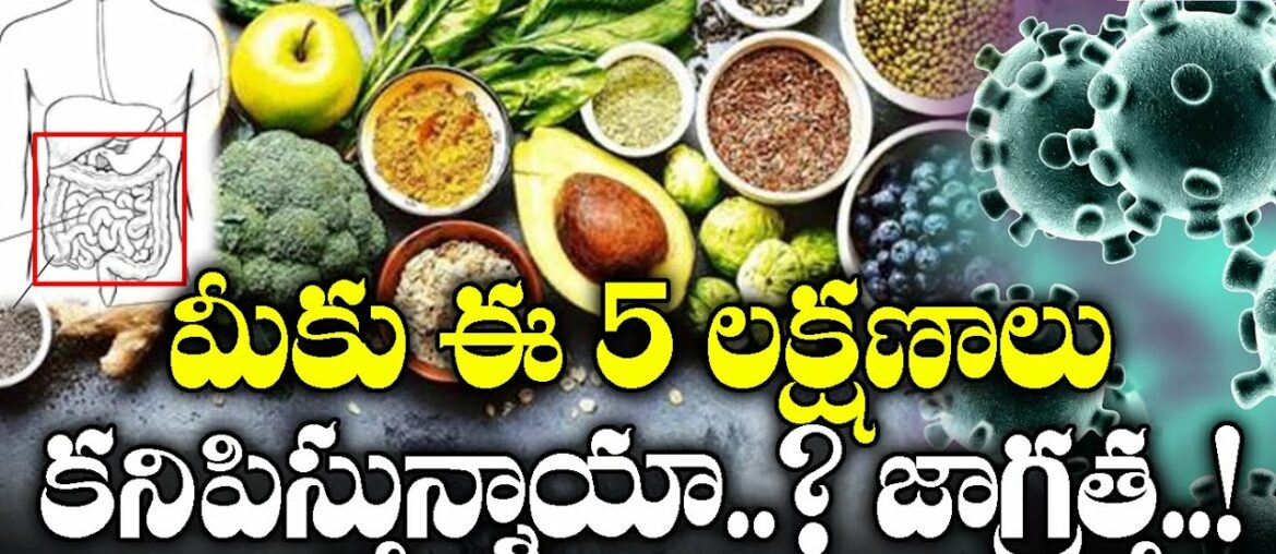 5 Symptoms That Show Your Immunity Levels Low: Digestive System Role in Increaing Immunity | GNN TV