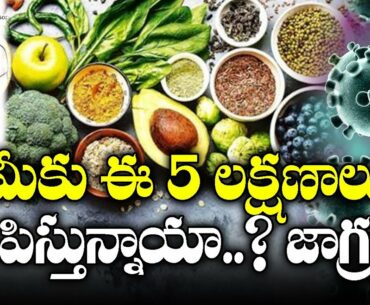 5 Symptoms That Show Your Immunity Levels Low: Digestive System Role in Increaing Immunity | GNN TV