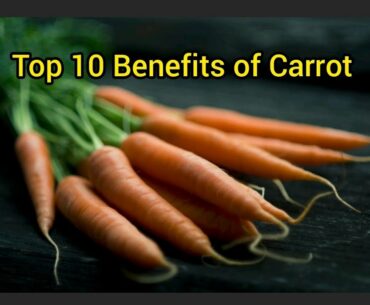 Top 10 Benefits of Carrot | Health Benefits | Diet | Wellness |Twin Souls2.0