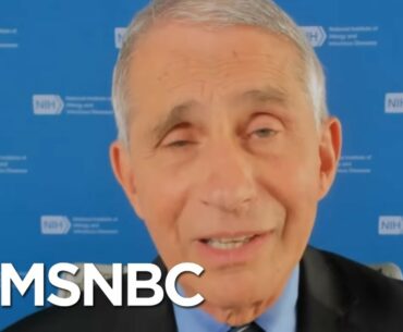 Fauci: Herd Immunity 'Not A Fundamental Strategy' To Combat Coronavirus | Andrea Mitchell | MSNBC