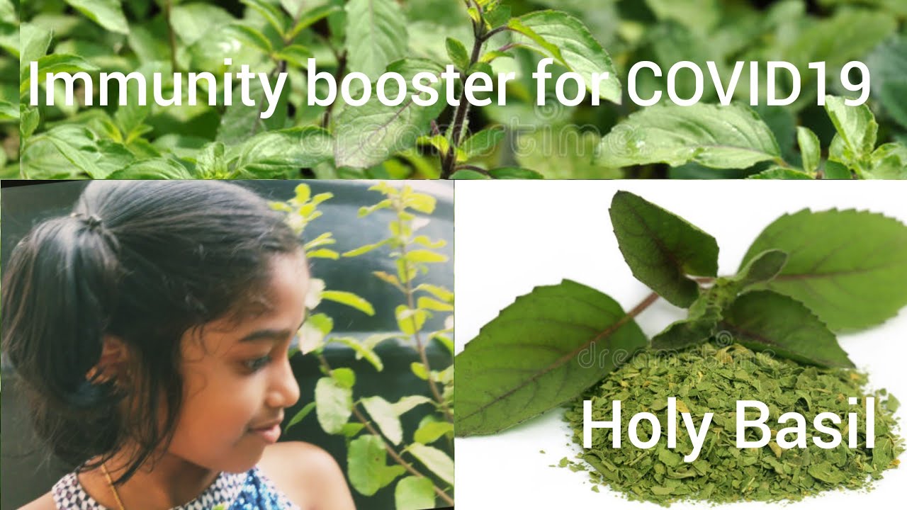 Immunity booster || For Coronavirus
