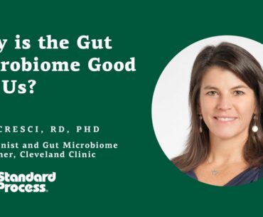 Why is the Gut Microbiome Good For Us?