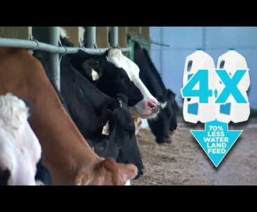 Iowa Minute: Dairy cows are providing the protein and vitamins you need, more efficiently