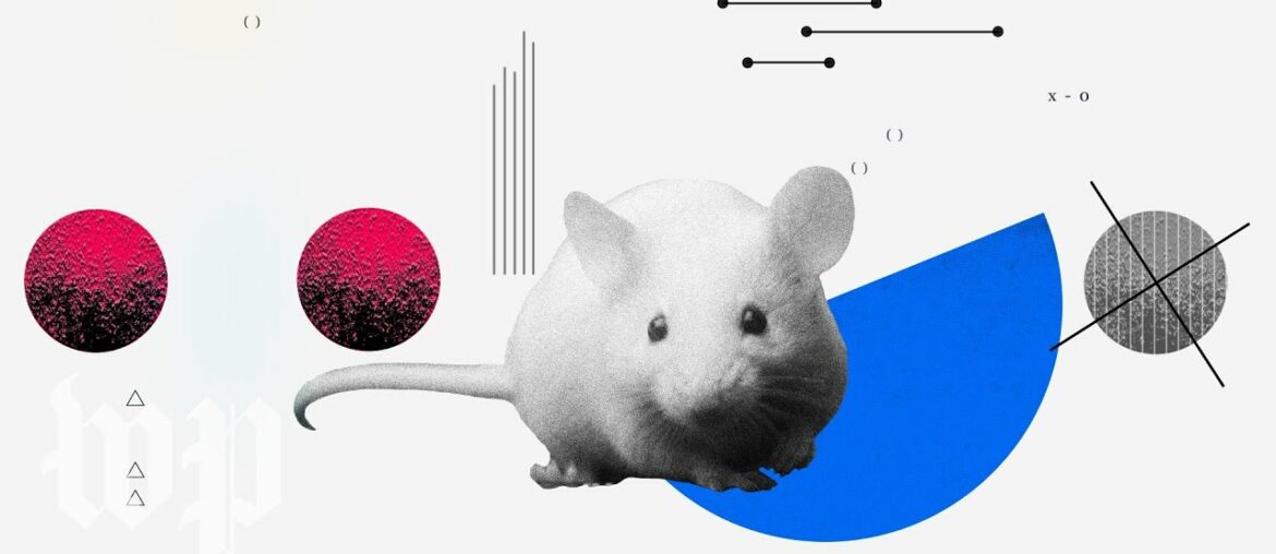 What is phase 3, and how close are we to a covid-19 vaccine?
