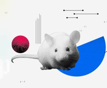 What is phase 3, and how close are we to a covid-19 vaccine?