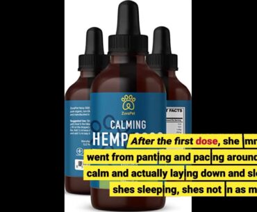 MaxHemp Hemp Oil for Dogs&Cats 3000MG-Natural Organic Hemp Seed Extract-Anxiety&Pain Relief, Su...
