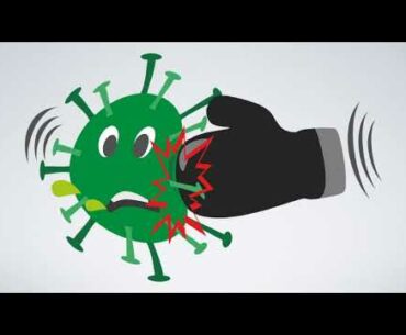 The Science Behind COVID-19 and Vaccines