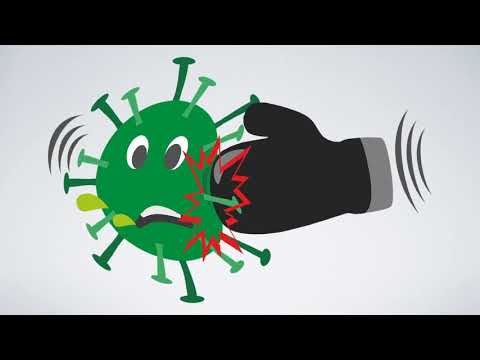 The Science Behind COVID-19 and Vaccines