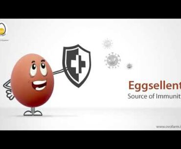 Eggsellent Source of Immunity | Ovo Farm Fresh | Ovo Eggs