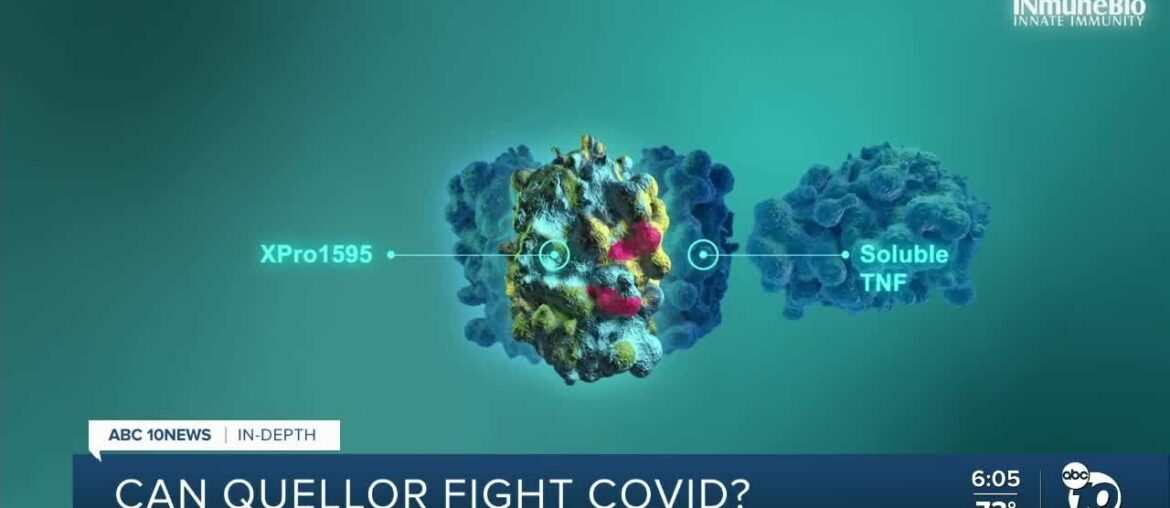 In Depth: Can Quellor fight COVID-19?