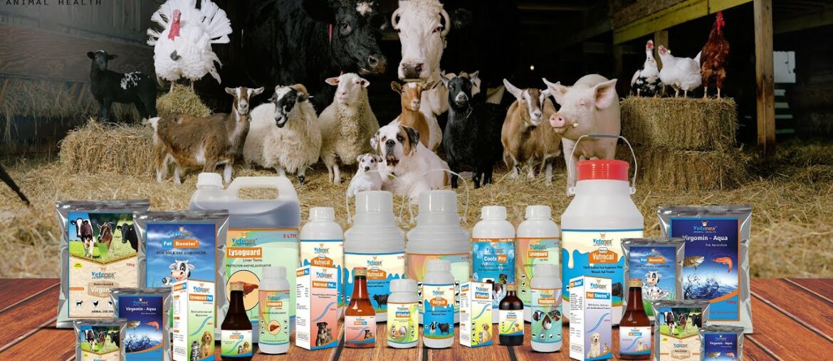 Animal Feed Supplement | Veterinary Products | Veterinary Medicine |  Manufacturer | (Bengali)