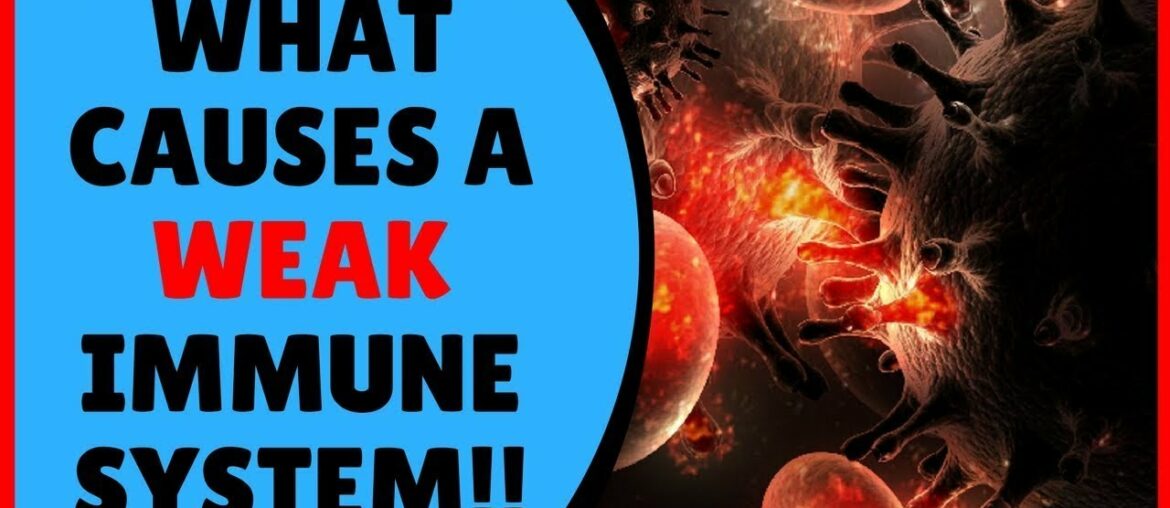 THIS WILL HELP TO MAKE YOU COVID-19 ANTIBODY | 5 ways you can Strengthen Your Immune System