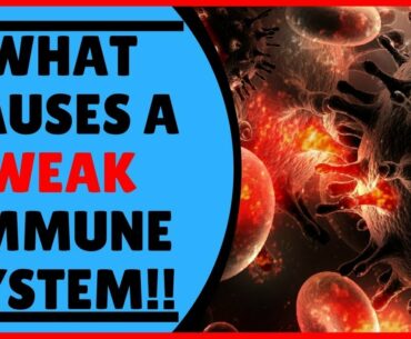 THIS WILL HELP TO MAKE YOU COVID-19 ANTIBODY | 5 ways you can Strengthen Your Immune System